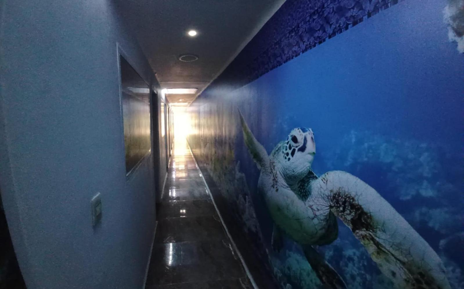 Hotel Dmauro Cartagena Exterior photo